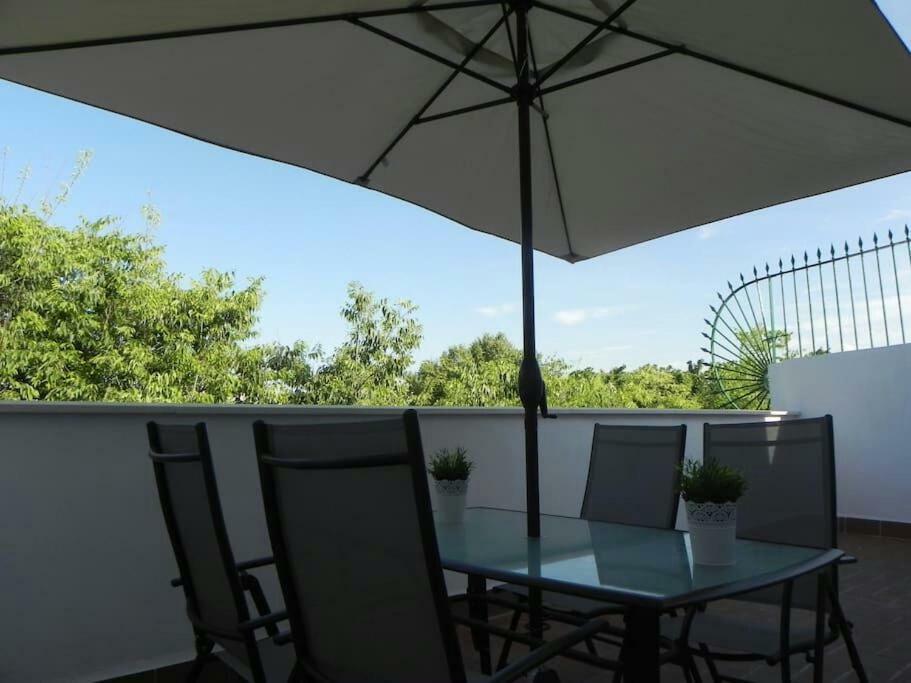 Atico Con Terraza En Alameda De Hercules Севилья Экстерьер фото