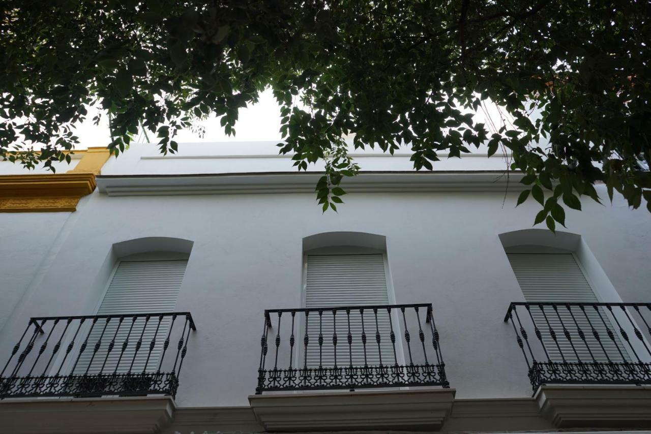 Atico Con Terraza En Alameda De Hercules Севилья Экстерьер фото
